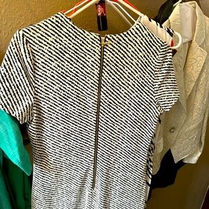 Women’s Calvin Klein dresses